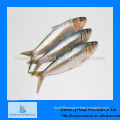 the product with high cost performance sardine on sale